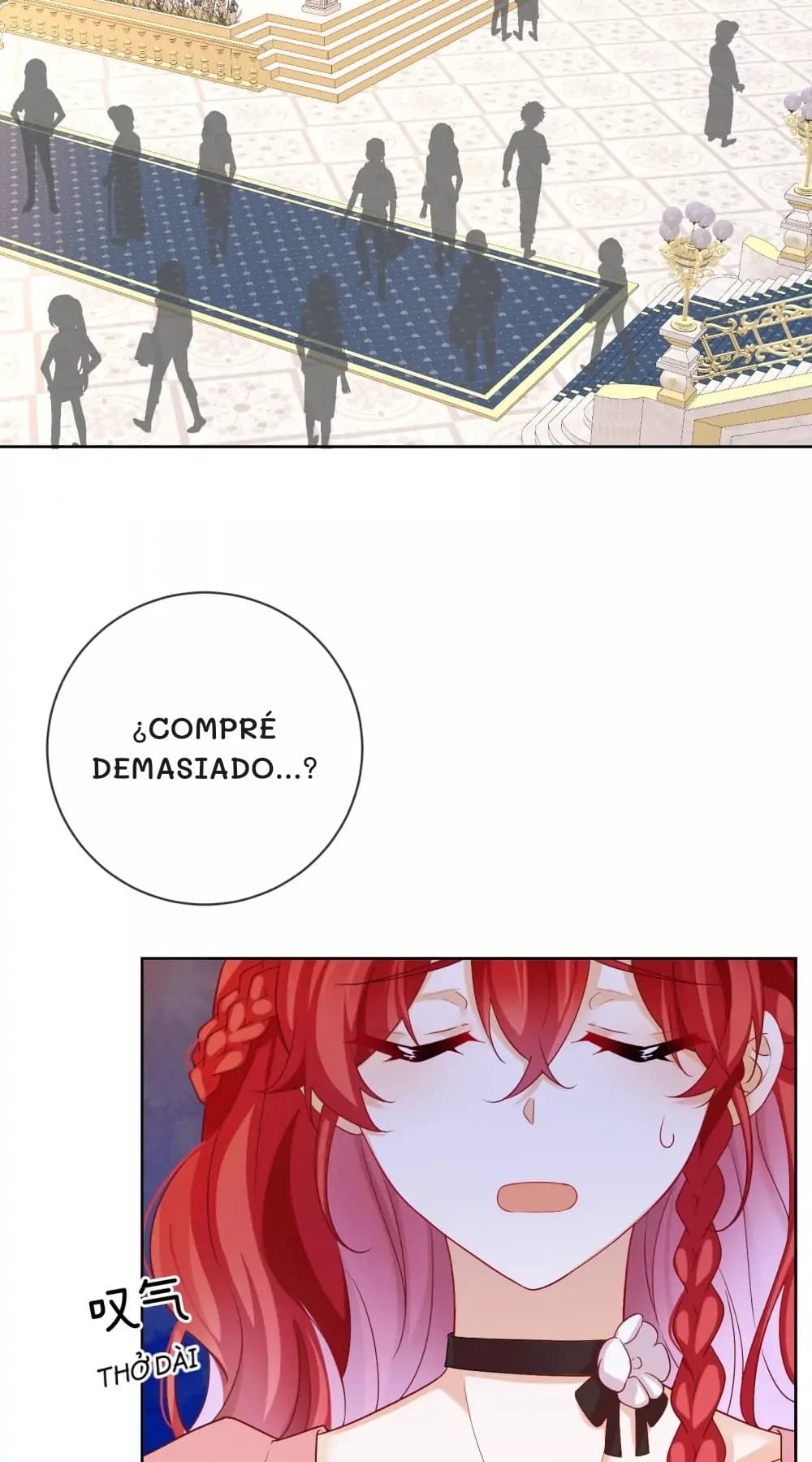 ¿Compré demasiado...?
