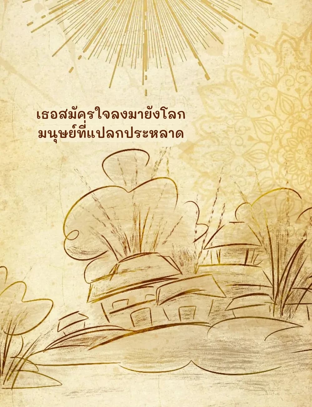 เธอสมัครใจลงมายังโลกมนุษย์ที่แปลกประหลาด