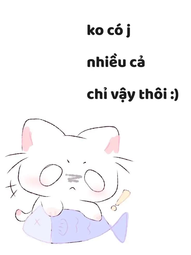 Trang 9/19