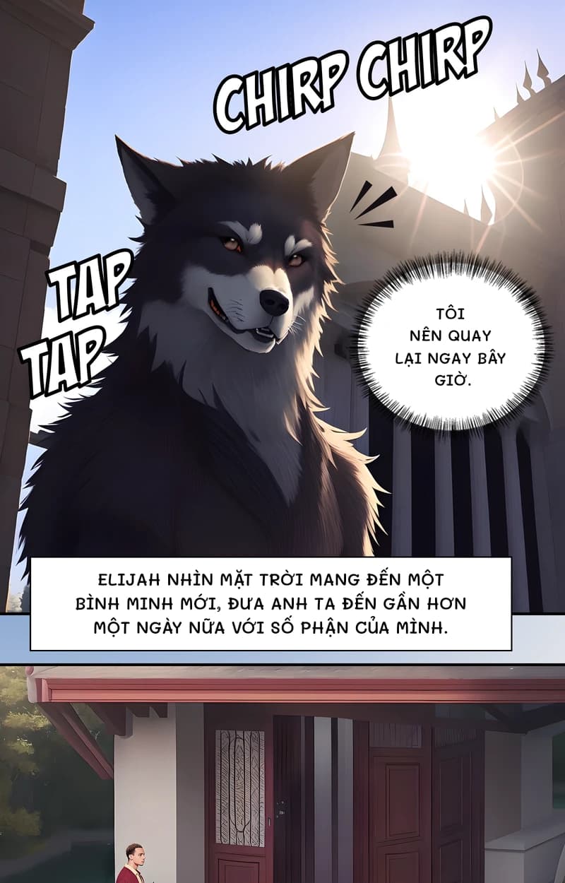 Tôi nên quay lại ngay bây giờ.
Elijah nhìn mặt trời mang đến một bình minh mới, đưa anh ta đến gần hơn một ngày nữa với số phận của mình.