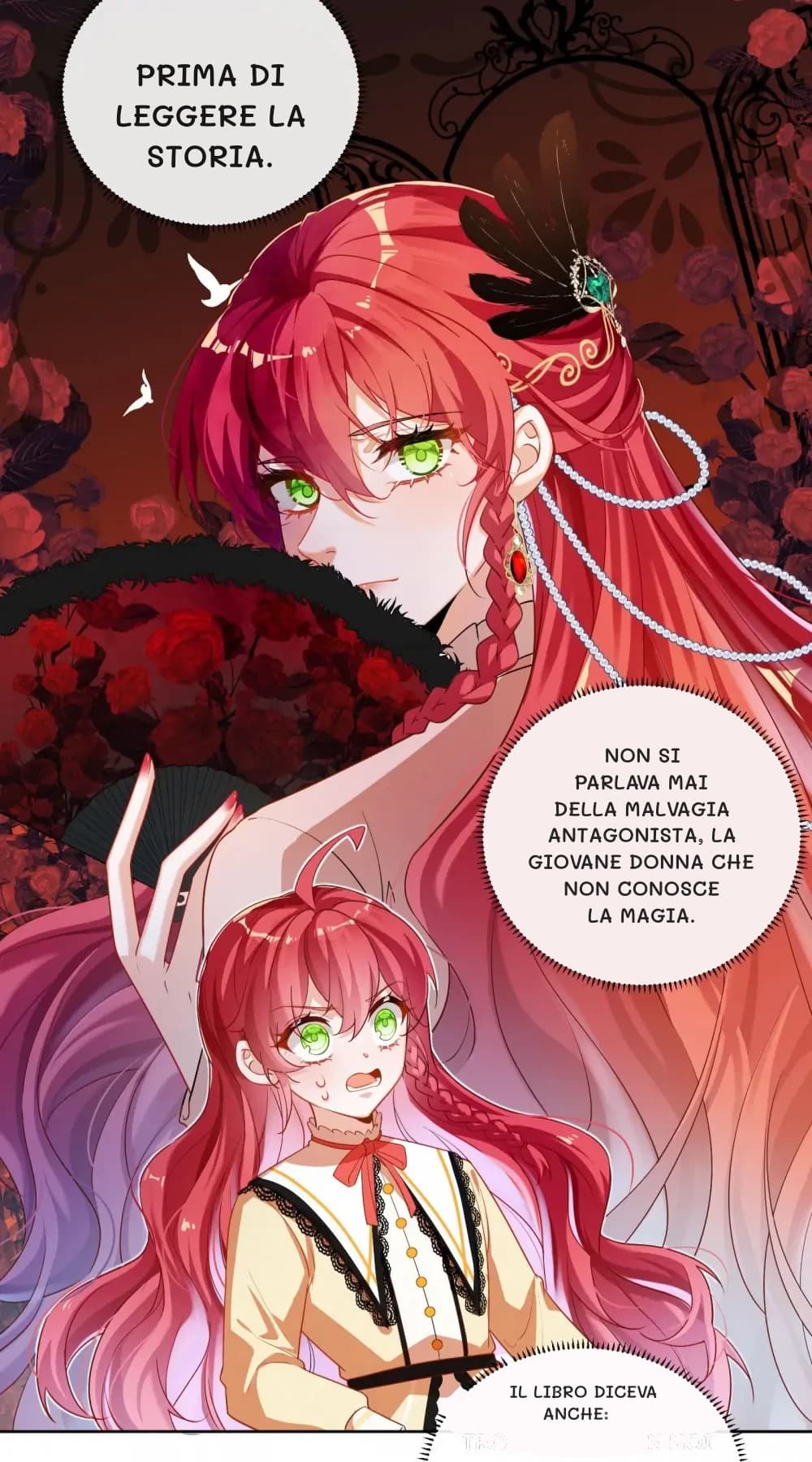 Prima di leggere la storia.
Non si parlava mai della malvagia antagonista, la giovane donna che non conosce la magia.
Il libro diceva anche: