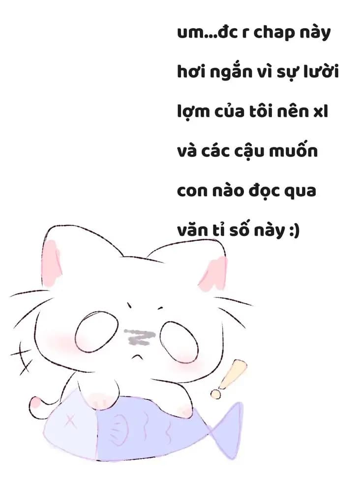 Trang 8/19