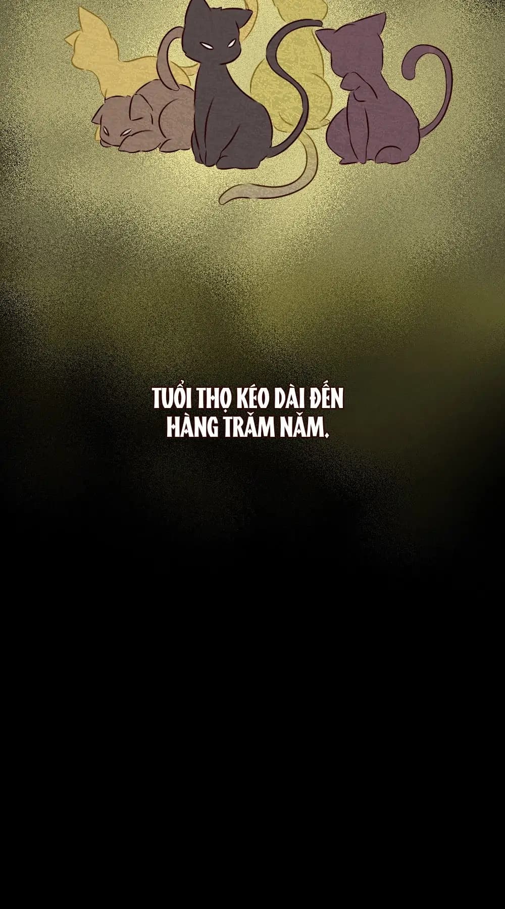 Trang 76/91