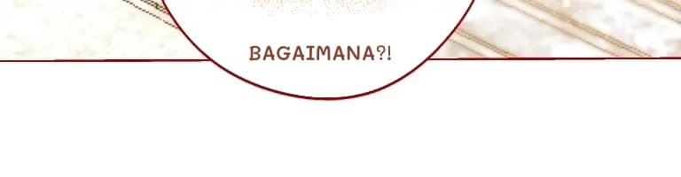 Bagaimana?!