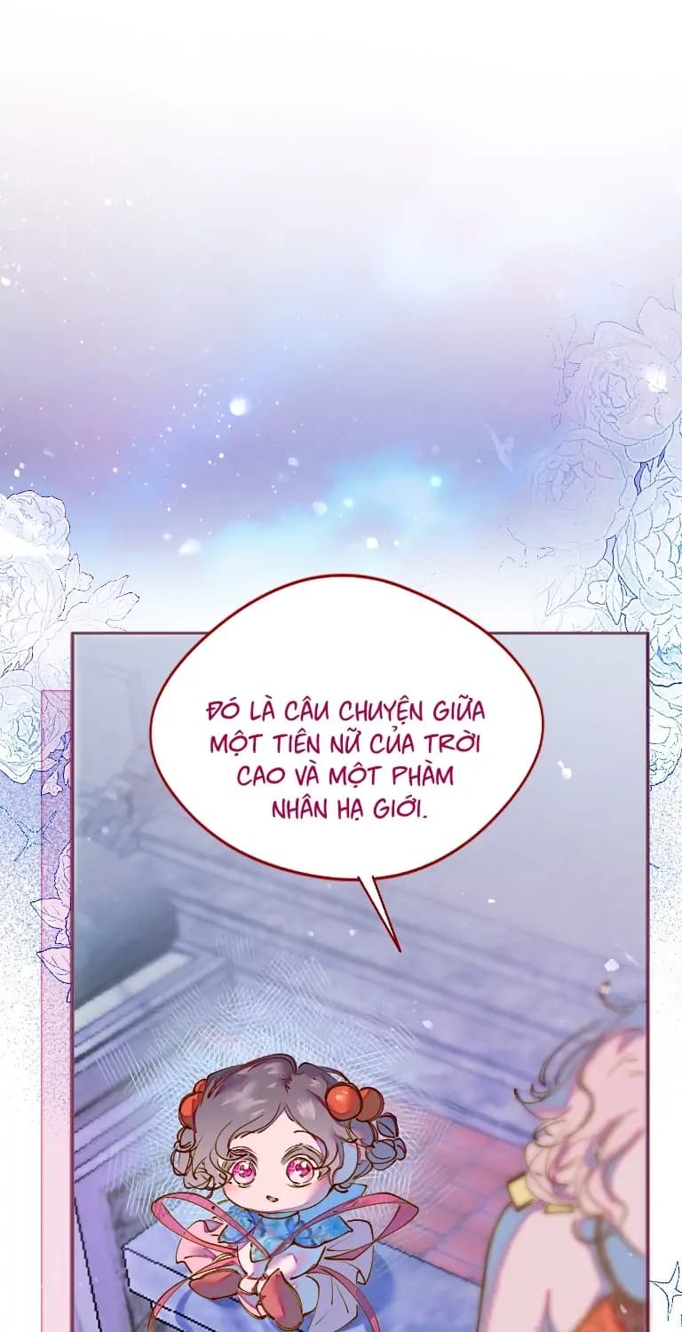 Trang 25/91