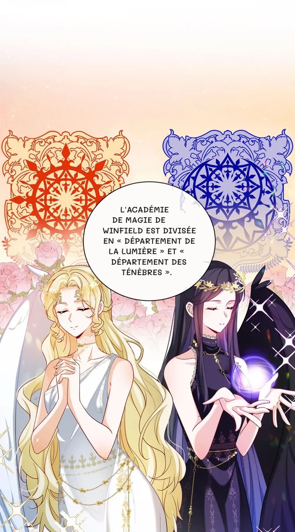 L'Académie de Magie de Winfield est divisée en « Département de la Lumière » et « Département des Ténèbres ».