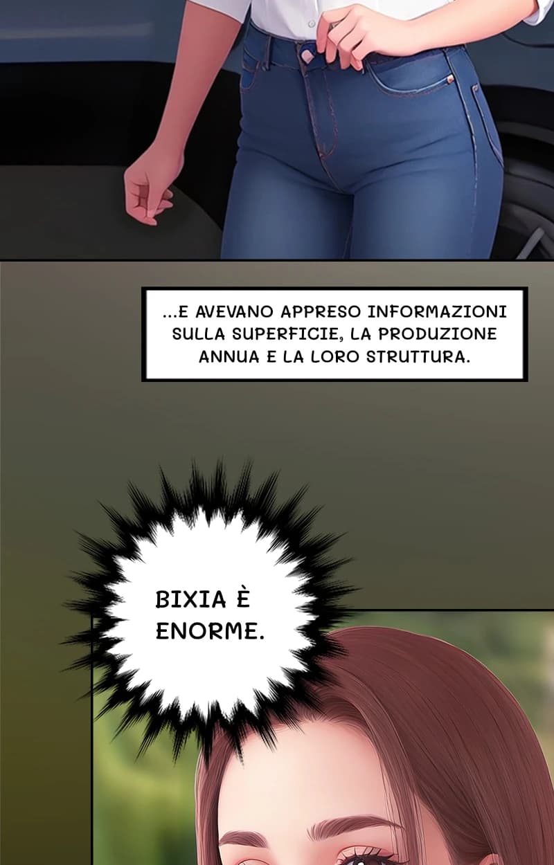 ...e avevano appreso informazioni sulla superficie, la produzione annua e la loro struttura.
Bixia è enorme.