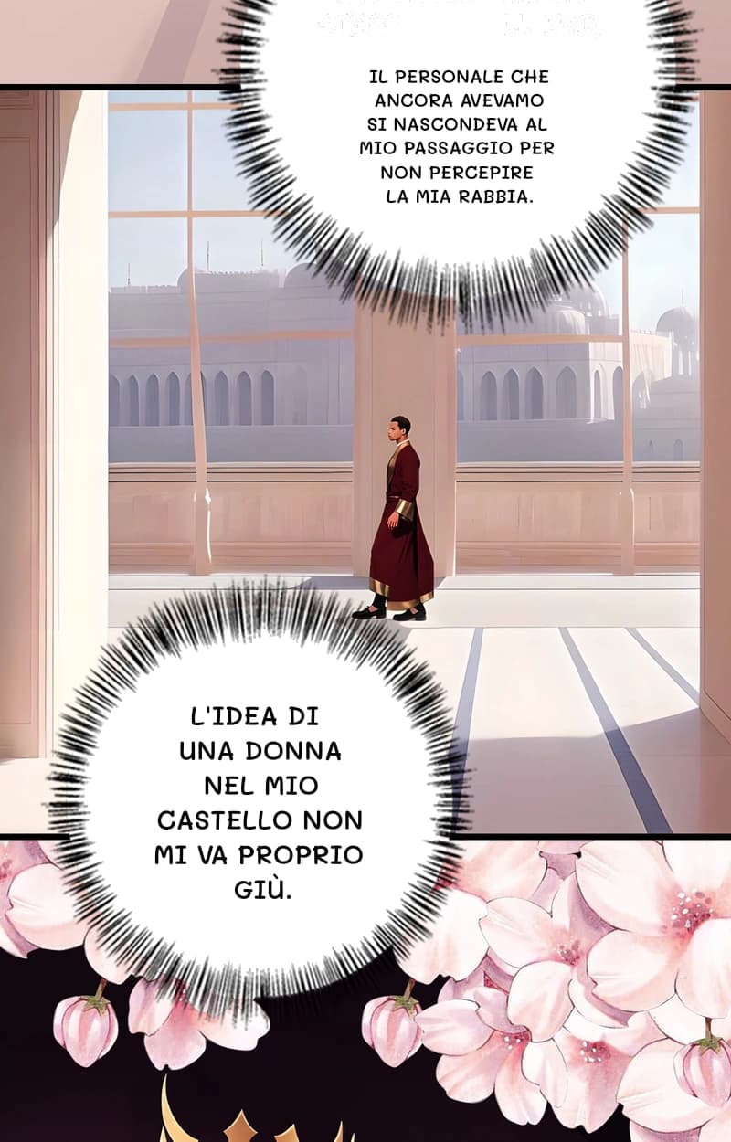 Il personale che ancora avevamo si nascondeva al mio passaggio per non percepire la mia rabbia.
L'idea di una donna nel mio castello non mi va proprio giù.