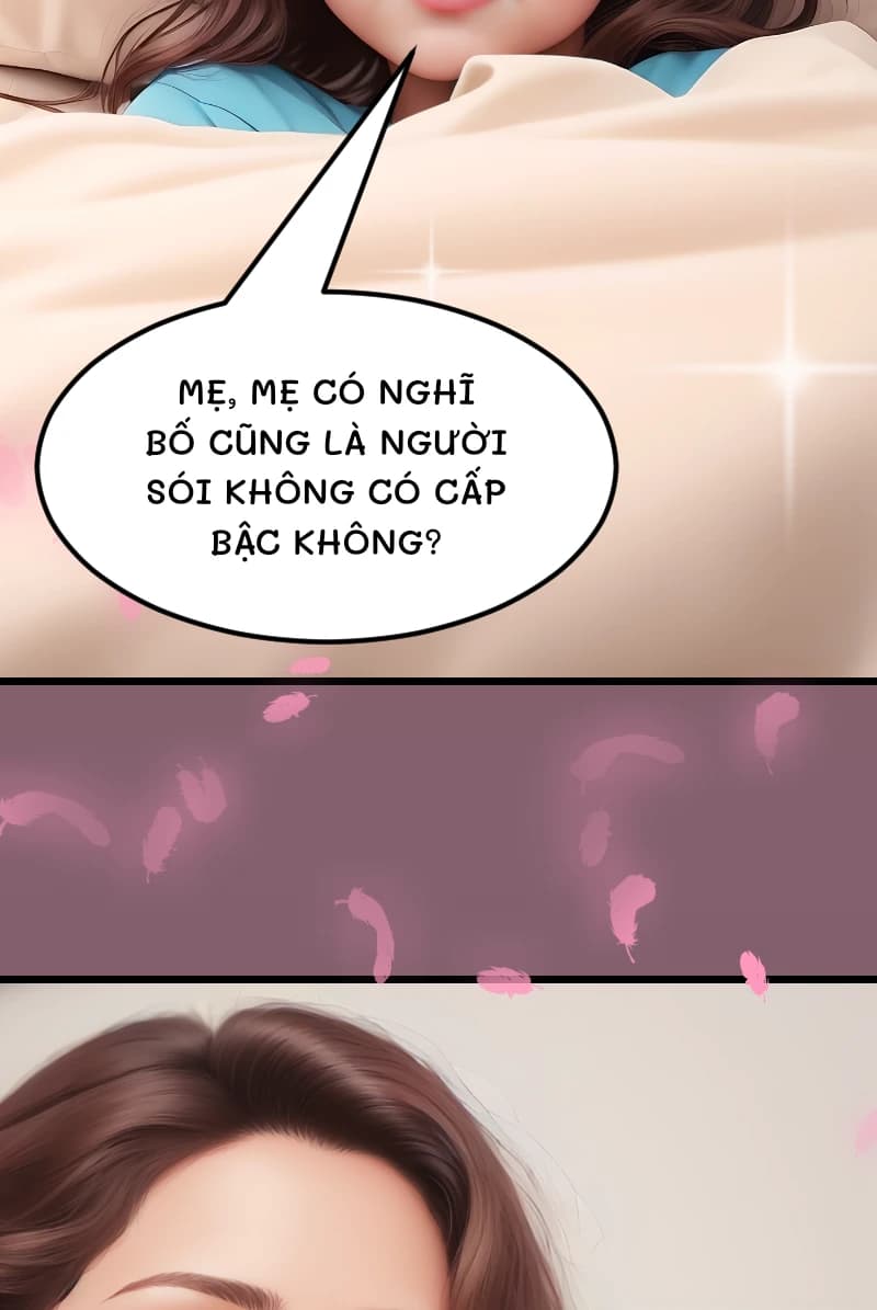 MẸ, MẸ CÓ NGHĨ BỐ CŨNG LÀ NGƯỜI SÓI KHÔNG CÓ CẤP BẬC KHÔNG?