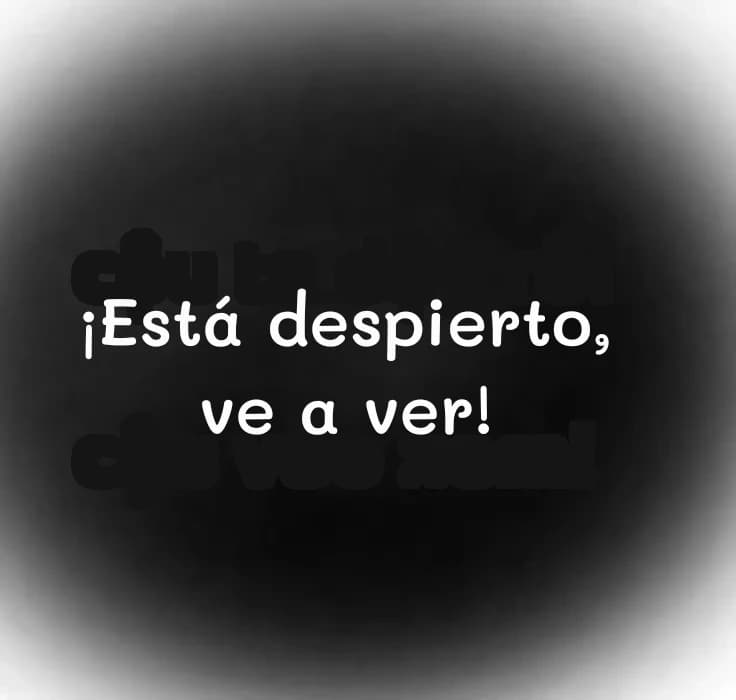 ¡Está despierto, ve a ver!