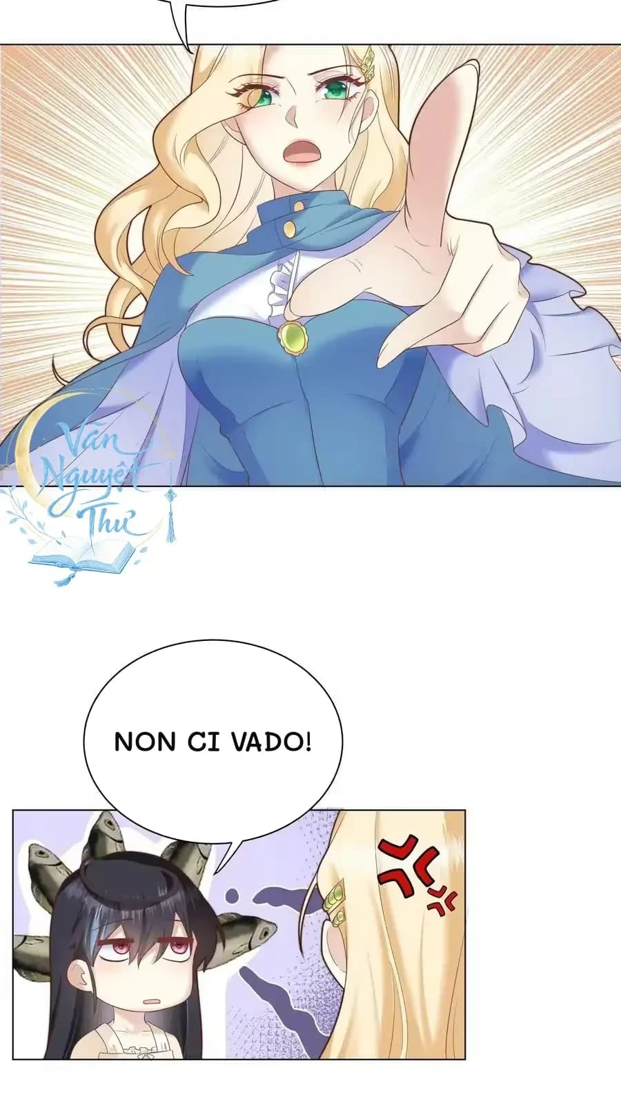 Non ci vado!