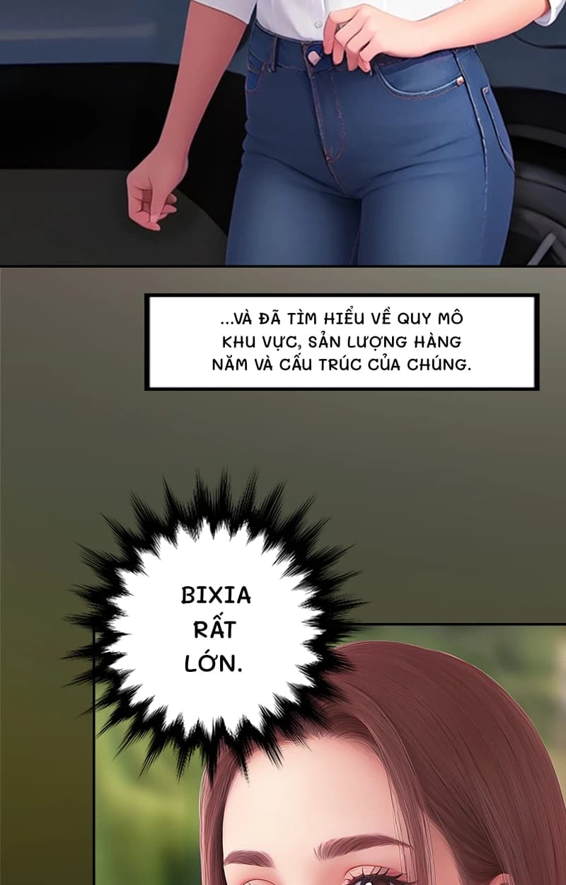 ...và đã tìm hiểu về quy mô khu vực, sản lượng hàng năm và cấu trúc của chúng.
Bixia rất lớn.