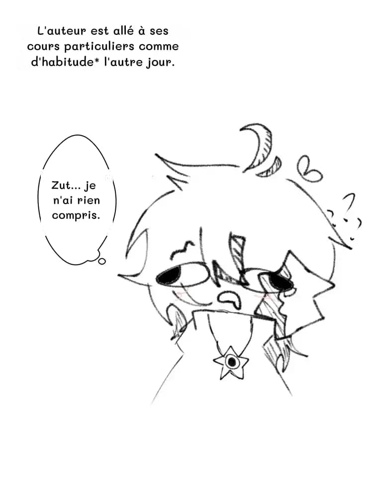 L'auteur est allé à ses cours particuliers comme d'habitude* l'autre jour.
Zut... je n'ai rien compris.