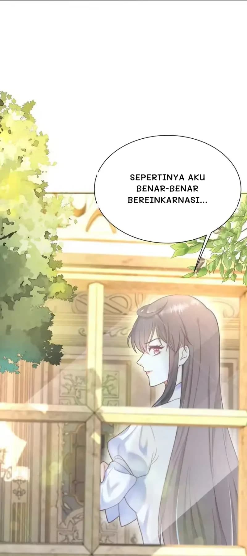 Sepertinya aku benar-benar bereinkarnasi...
