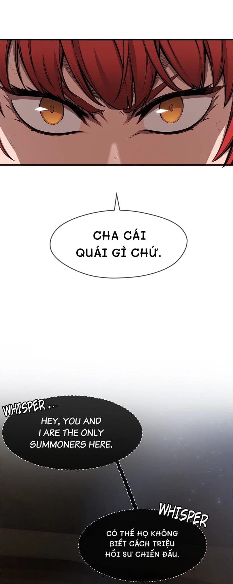 Cha cái quái gì chứ.
Có thể họ không biết cách triệu hồi sư chiến đấu.