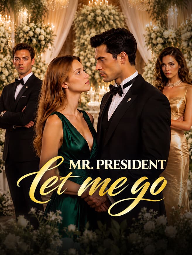 Capa de Mr. President Let Me Go por Dusty Star House